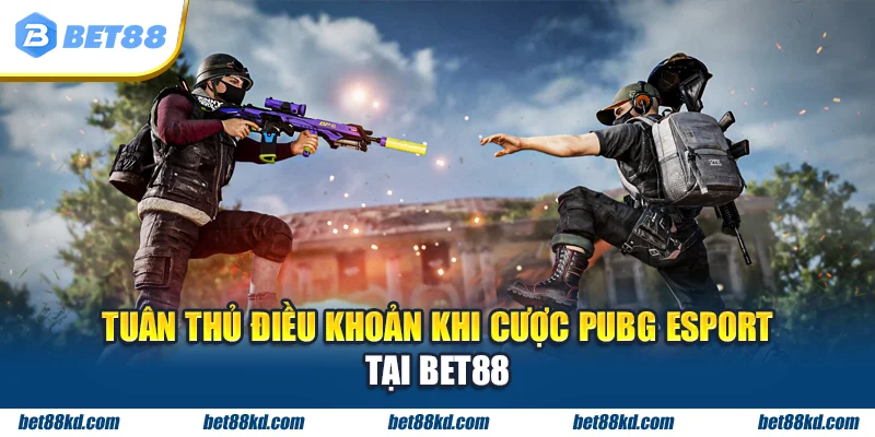 Tuân thủ điều khoản khi cược PUBG Esport tại BET88