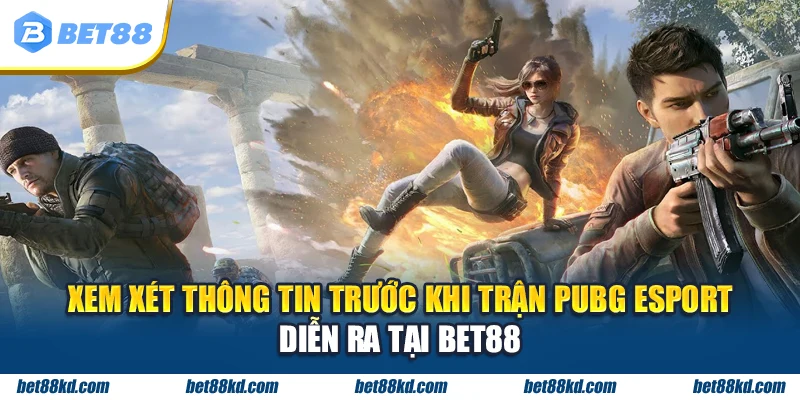 Xem xét thông tin trước khi trận PUBG Esport diễn ra tại BET88